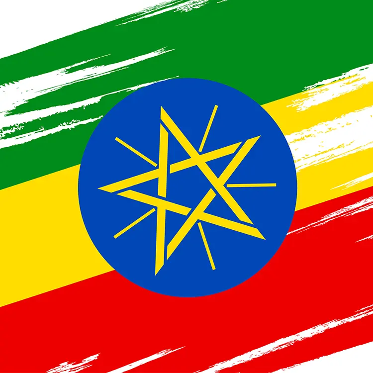 the flag of Ethiopia with a star in the center